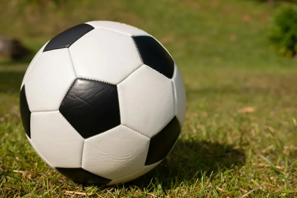 A football ball on the grass, illustrating football and society